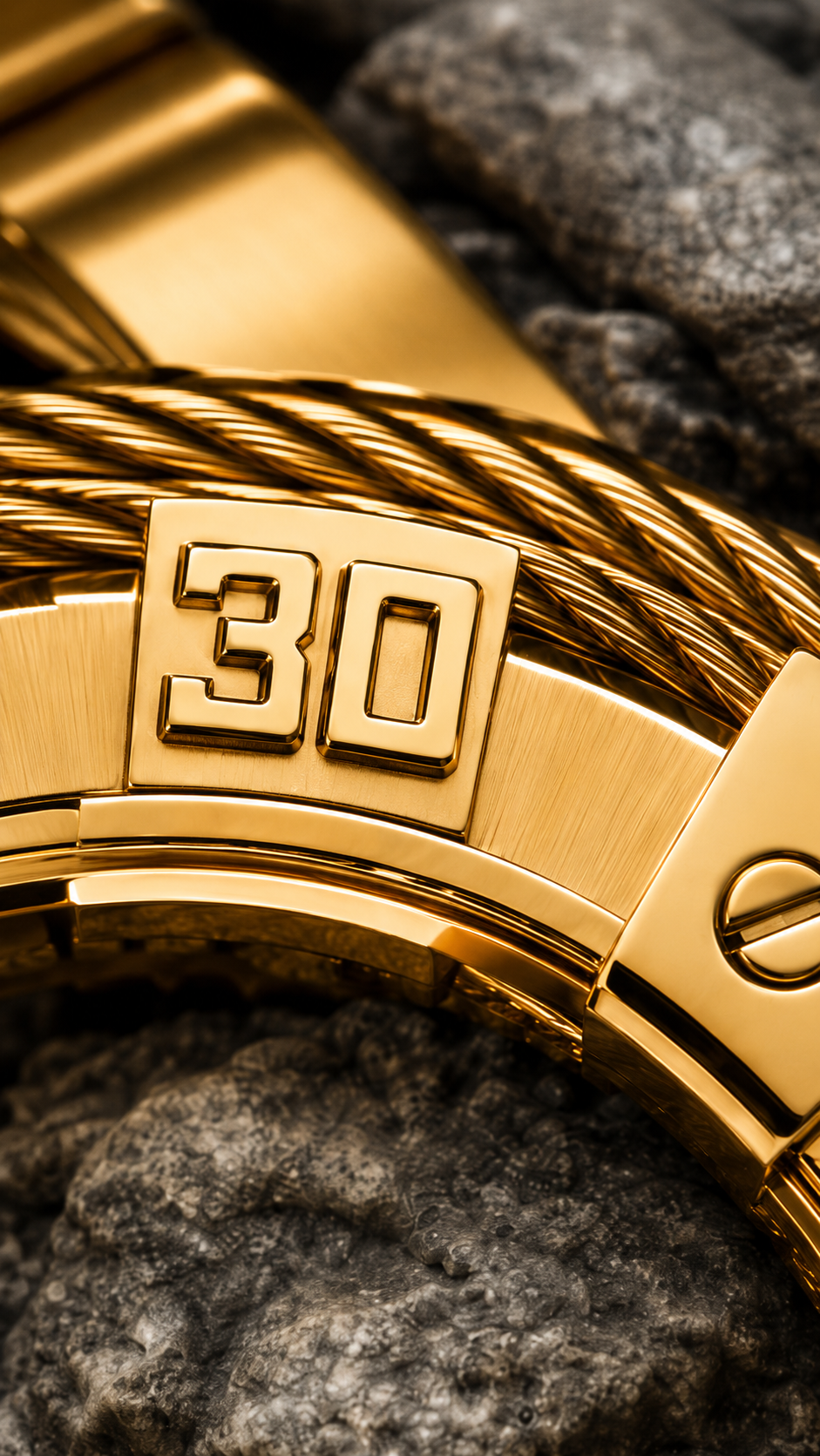 WatchFarm Gold  Beas Watch(Heavy Quality)